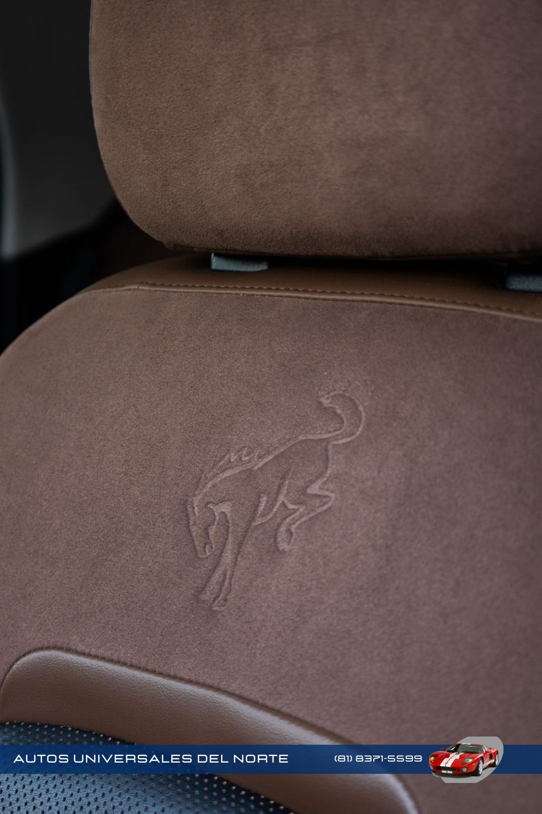 Ford Bronco Sport Badlands 2022