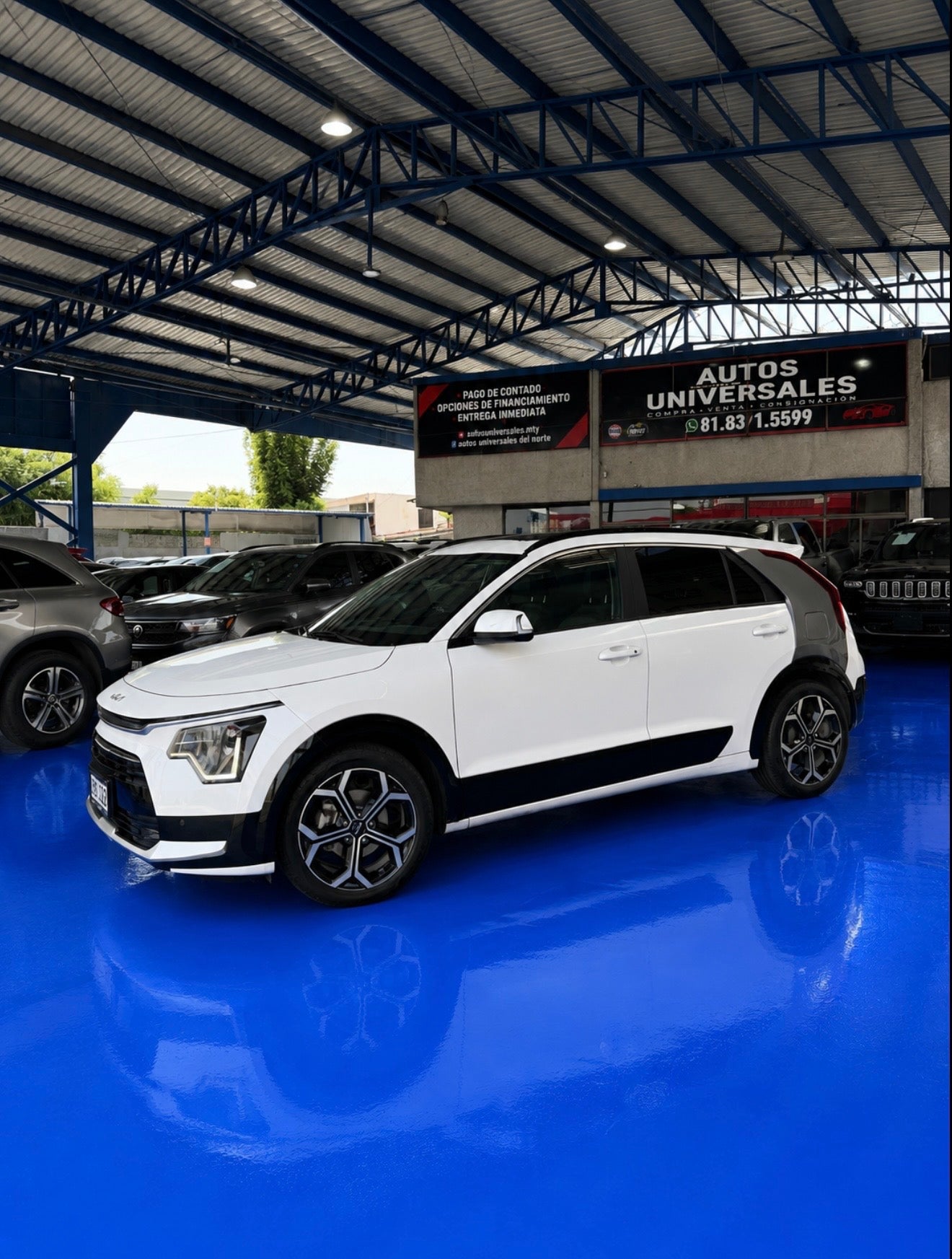 Kia Niro 1.6  ex Hibrida 2024